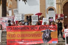 Los manifestantes se han congregado en la plaza de la Merced. // CharryTV