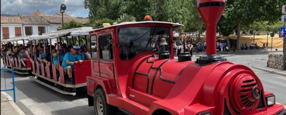 El tradicional trenecito, autobús urbano y taxis: los transportes públicos para llegar al Real, Estos vehículos podrán llegar, por primera vez, a la portada del recinto ferial para hacer las fiestas más accesibles, 29 Aug 2024 - 16:08