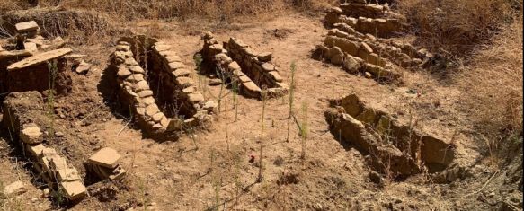 Finalizan las catas arqueológicas en el barrio de San Francisco, En los trabajos, previos a la creación de un aparcamiento en la zona, se han encontrado restos de diferentes periodos históricos, incluyendo enterramientos andalusíes y romanos, 11 Sep 2024 - 14:53