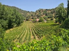 Se ha galardonado a la Bodega Antigua Real Fábrica de Hojalata de Ronda en el apartado empresarial. // CharryTV