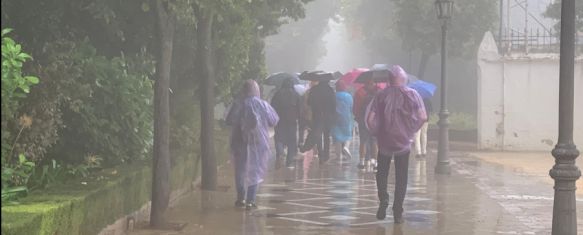 La AEMET amplía el aviso amarillo por lluvias y tormentas durante toda la noche, Se prevé una precipitación acumulada en una hora de 25 litros por metro cuadrado, 14 Oct 2024 - 15:24