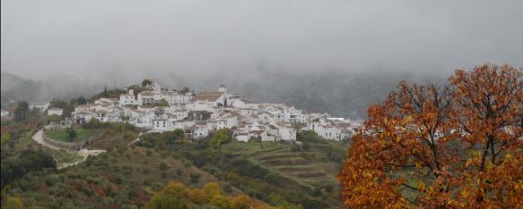 En Cartajima llueve un 30% menos que hace diez años, Según las medidas realizadas por un vecino de la localidad,…, 06 Nov 2024 - 17:08