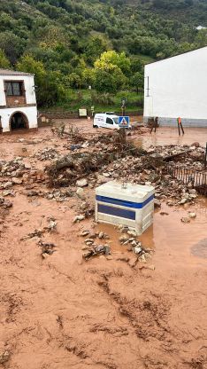 Las fuertes lluvias provocaron el desprendimiento de piedras y la caída de ramas el municipio jimerano.  // Francisco Lobo. 