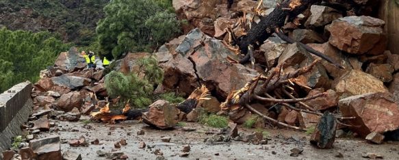 Fomento realiza un primer análisis tras el desprendimiento de la ladera en la A-397, La carretera que conecta Ronda con San Pedro Alcántara permanece…, 10 Mar 2025 - 10:44